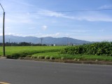 IMG_0714.JPG