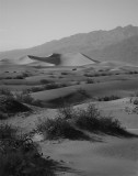 Sand Dunes Black and White.jpg