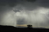 Beginning of the rainy season