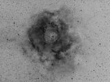 Rosette Nebula Halpha - negative