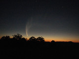 Comet McNaught