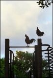 Roosters on Whitehead Street