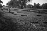 Woodlawn Park Cemetery South