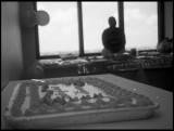 Waiting for a cake