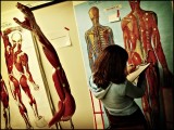 Anatomy lab