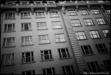 Child in window