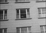 Child in window (fragment)