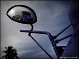 Self. Haulover Beach park