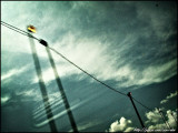 Palmetto Expressway