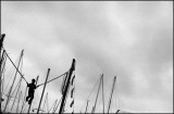 Fishermans Wharf: Pier 39