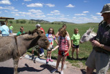 custer state park