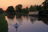 Shropshire Union Canal  & last bit of sun.