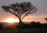 African Sunset