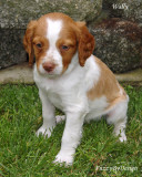 DSC00924 Wally
