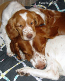 DSC01208  Shhh  Dads sleeping