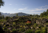 The Tromso Botanic Garden features a series of habitats, each on its own hill.