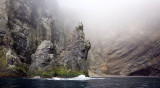 Fog obscures the cliffs on many days.