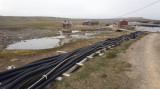 In the land of permafrost, cables stay on the surface.    [true?]