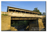 IA7X9875.JPG