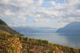 Looking eastward towards Vevey/Montreux