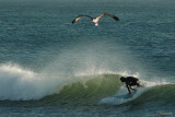 Catch of the Day Osprey-n-Surfer