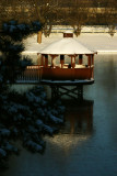 Reflections in a frozen lake, Palatine, IL