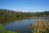 Deer Grove Forest Preserve