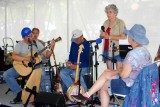 Merv Collins, finger style guitar, Strawberry Festival, Long Grove