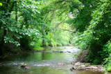 Lots of greenery, Spring Creek, PA