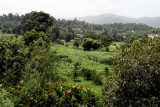 Village in Sehnsa