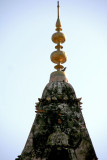 Old mandir in Kotli