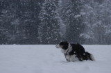 First snowfall?