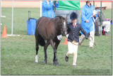 Ekka - Day 2 - 12 Aug 07 032.jpg