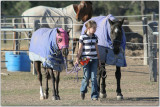 Maggie and her horses 03 Aug 07