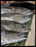 Mutrah fishmarket