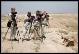 Sven, Bosse and Seppo spotting desert birds