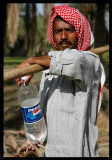 Young farm worker - Al Jahra