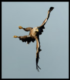Quick adjustment in the air !