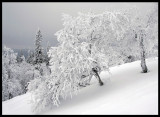 Winter in Dalarna - Sweden 2006
