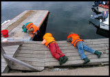 Hunting crabs - westcoast of Sweden 2004