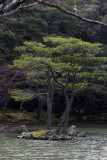 IMG_5412-01.jpg