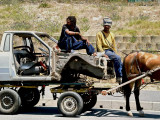 Horse and Bakkie1