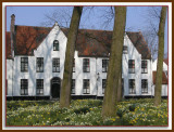 Begijnhof03.jpg