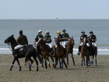 Polo_19.jpg