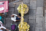 Bananas, photographed form my balcony