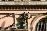 Pigeons on Sri Kali
