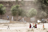 Dust, trees, the Fort