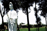 What we came to call the Buddha Virgin Mary