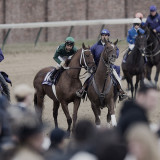 _DS-C0001 Super Frolic - Net Jets Breeders Cup Mile.jpg
