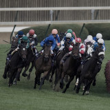 _DS-C0009 - Net Jets Breeders Cup Mile.jpg